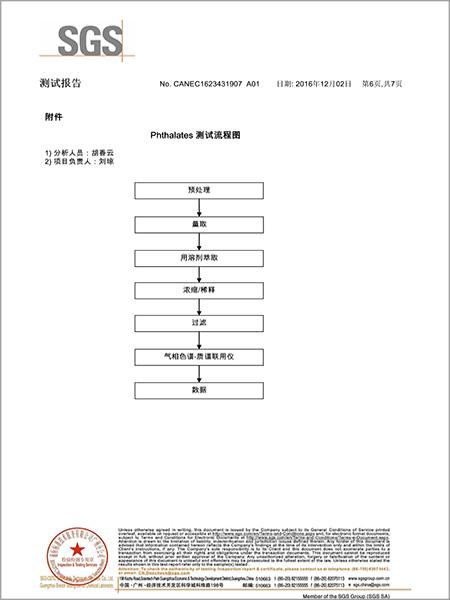 材通管業(yè)SGS檢測報告第六頁（中文）